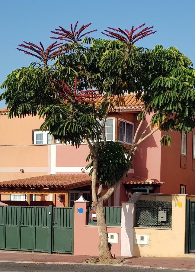 Rosas By Villas Rinamar Las Rosas  Εξωτερικό φωτογραφία