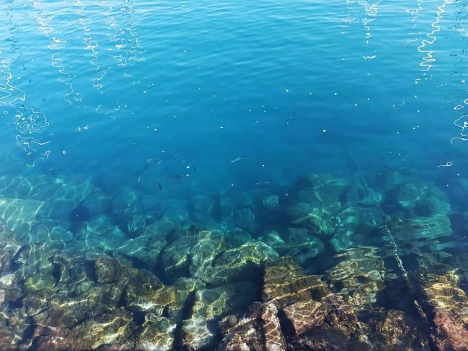Rosas By Villas Rinamar Las Rosas  Εξωτερικό φωτογραφία